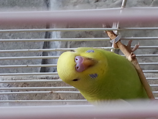 m o f?